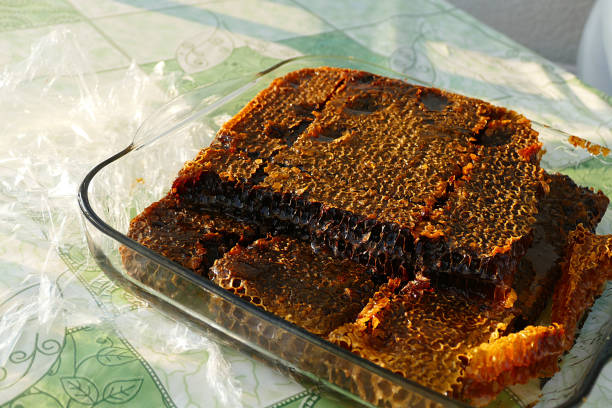 istock close-up natural honeycomb honey, honeycomb for breakfast, 1032869266