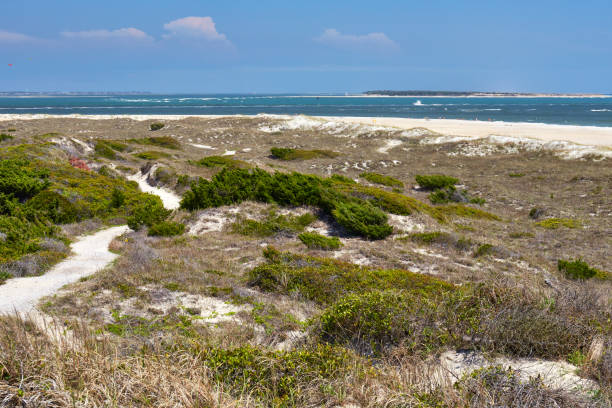 istock Beach Scene at Fort Macon State Park, North Carolina 1032876840