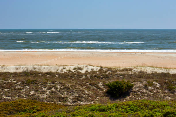 Beach Scene at Fort Macon State Park, North Carolina View of the beach from a hiking trail in Fort Macon State Park, located along Emerald Isle on the Crystal Coast of North Carolina emerald isle north carolina stock pictures, royalty-free photos & images