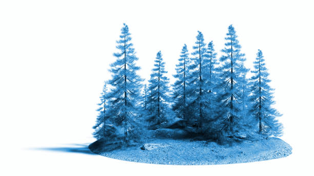 istock serene landscape with pine trees on a small rocky island isolated on white background 1032876858