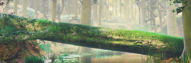istock fallen tree, natural bridge in magical forest, beautiful fantasy forest landscape 1032885532