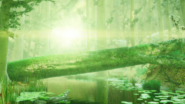 istock fallen tree, natural bridge in magical forest, intense sunshine in fantasy forest landscape 1032885906