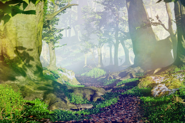 istock path through magical forest at sunrise, beautiful old trees fantasy landscape 1032886454