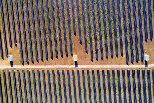 istock Aerial view of solar panels 1032889120