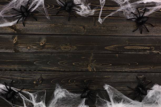 istock Halloween spiderweb double border against dark wood 1032895180