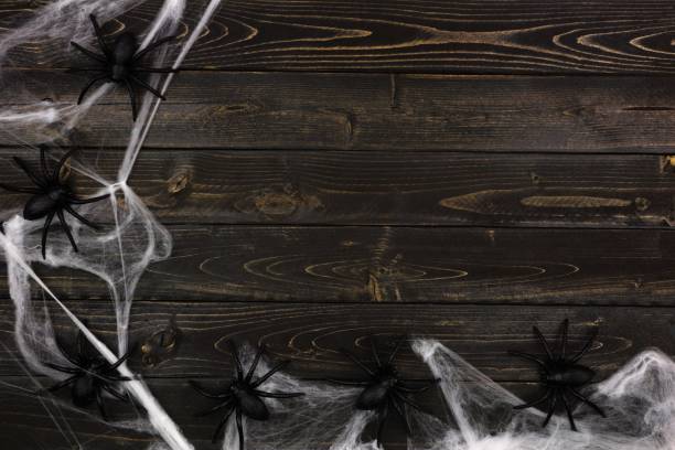 istock Halloween spiderweb corner border against dark wood 1032895462