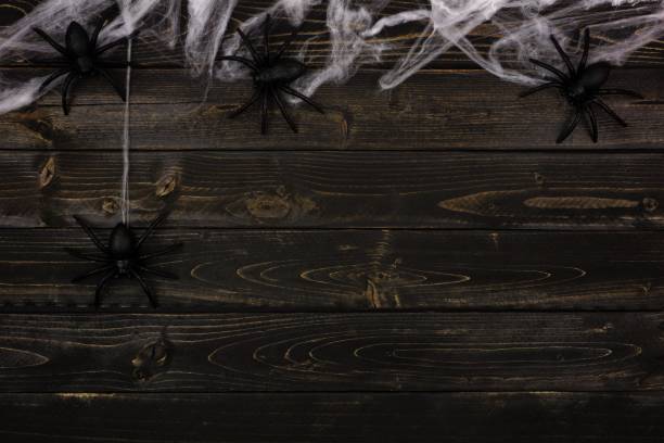 istock Halloween spiderweb top border against dark wood 1032895540
