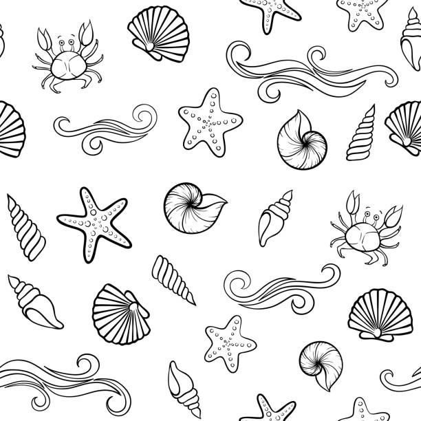 Black and white Seashell seamless pattern. design for holiday greeting card and invitation of seasonal summer holidays, summer beach parties, tourism and travel Black and white Seashell seamless pattern. design for holiday greeting card and invitation of seasonal summer holidays, summer beach parties, tourism and travel. mermaid retro revival beach old fashioned stock illustrations