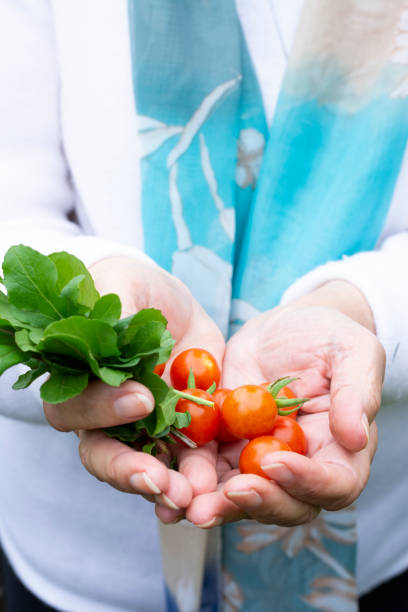 Woman picking tomatoes in the garden.