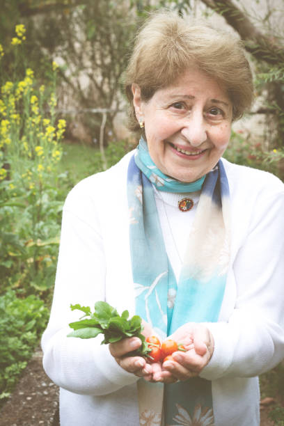 Woman picking tomatoes in the garden.