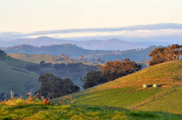 istock Bonnie Doone Hills, Victoria, Australia 1032928196