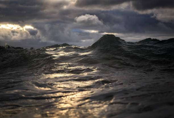 темные волны - sea light water surface water form стоковые фото и изображения