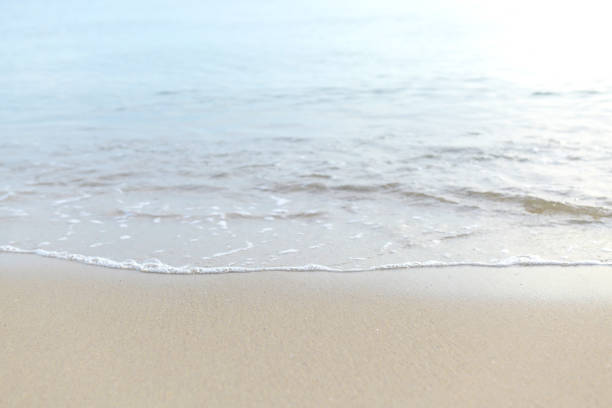 The sea with waves hit the sandy beach in the morning, with copy space text