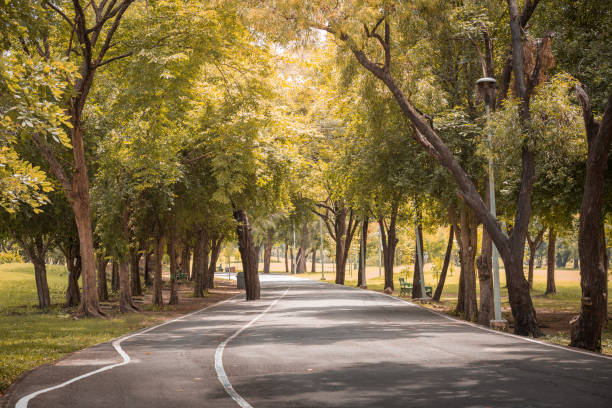 istock Road in the beautiful park background 1032959968