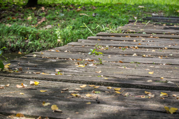 istock Leaves on an old wooden bridge in a park background 1032959970