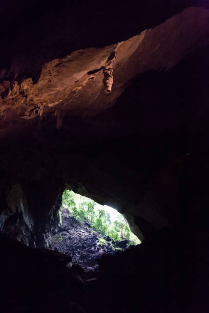 istock Ceiling spouts known as Adam and Eve at Deer Cave. 1032960070