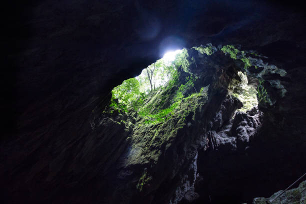 istock Light from openings in Clear Water Cave, Mulu National Park 1032960118