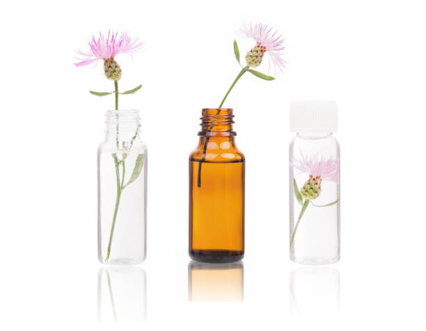 istock Cornflower Meadow Pink - floriterapia bacha. 1032965188