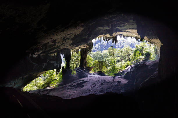 大洞窟室雄大な入り口ムル国立公園、サラワク州で - グヌンムル国立公園 ストックフォトと画像
