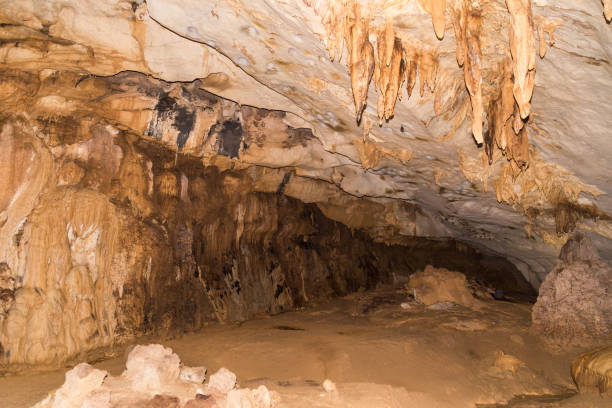 istock Limestone formation inside caves at Mulu National Park, Sarawak 1032973010