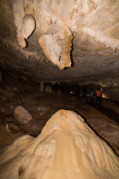 istock Limestone formation inside caves at Mulu National Park, Sarawak 1032973032