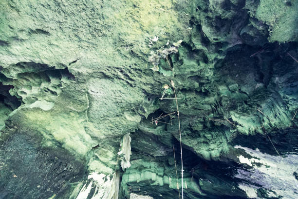 istock Tools to harvest bird's nest on cave ceiling, Niah Caves. 1032977590