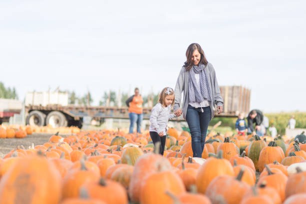 istock Beautiful ethnic mom walking with her daughter through a pumpkin farm 1032983272