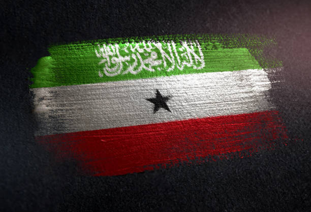 금속 브러쉬 그런 지 어두운 벽에 페인트로 만든 소말릴란드 플래그 - somaliland 뉴스 사진 이미지