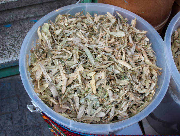 istock Dry herbal plants for remedy in view 1033010826
