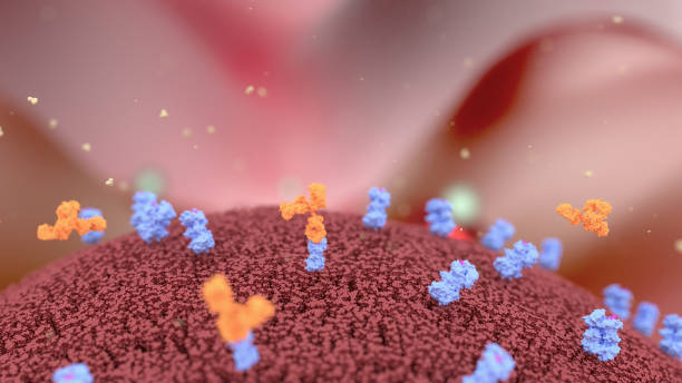 istock Antibodies and a cancer cell 1033017918