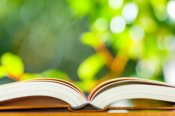 istock Green blur background and books 1033025026