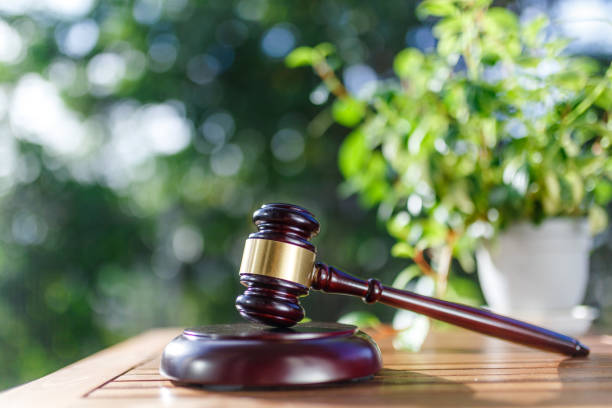 istock Green blur background and auction hammer 1033025080