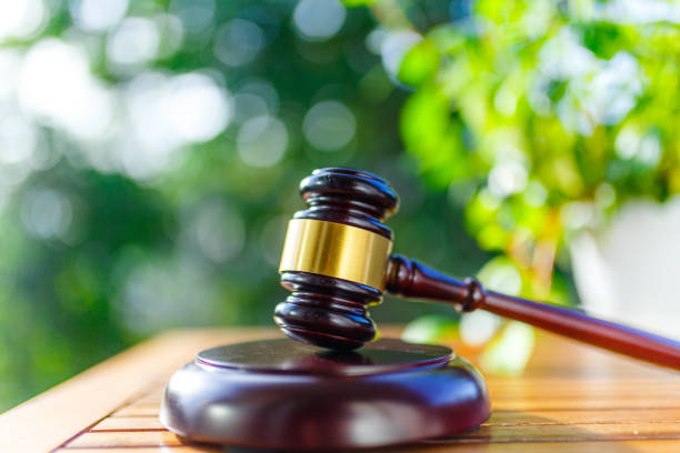 istock Green blur background and auction hammer 1033025094