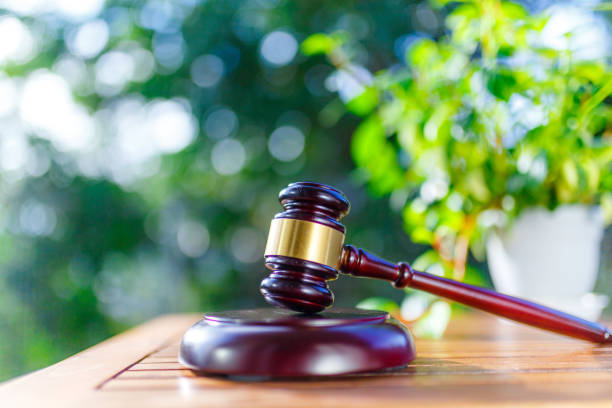 istock Green blur background and auction hammer 1033025098