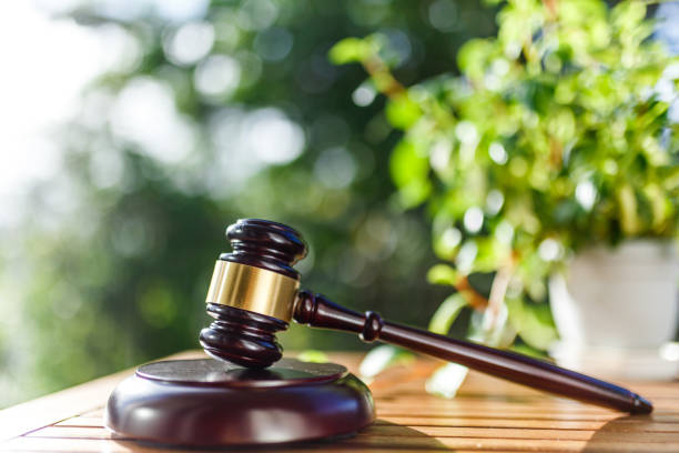 istock Green blur background and auction hammer 1033025106