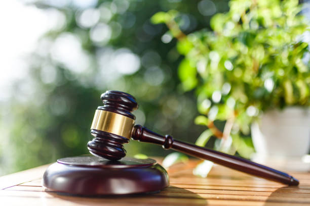 istock Green blur background and auction hammer 1033025136