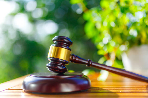 istock Green blur background and auction hammer 1033025142