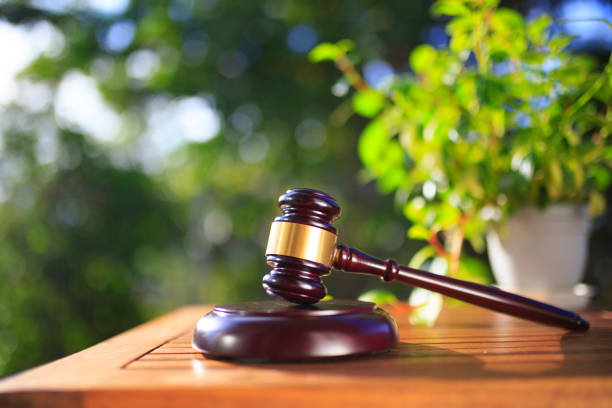 istock Green blur background and auction hammer 1033025188