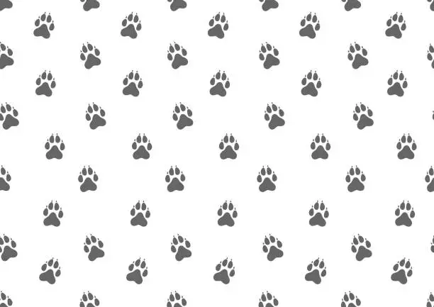 Vector illustration of Seamless pattern. Animal dog tracks. Vector illustration.