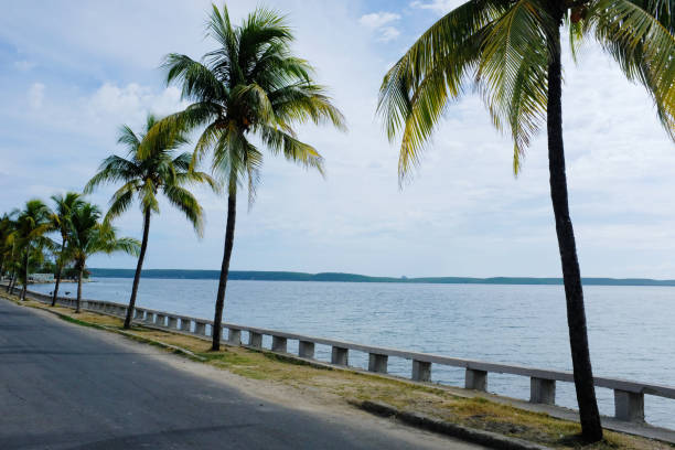 istock tropical beach with palm trees in Cienfuegos, CUBA 1033031024