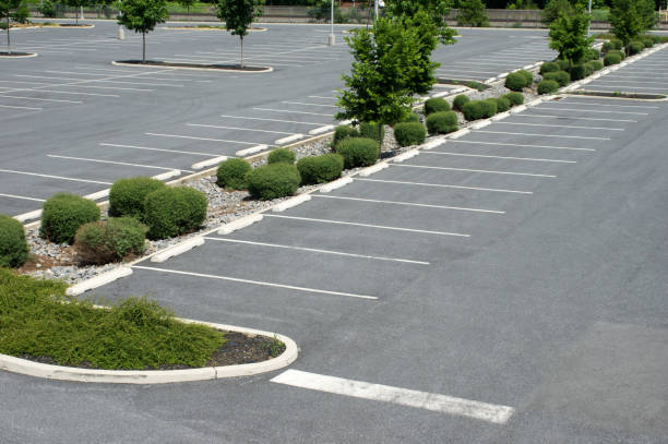 istock Vehicle Parking Lot 1033031402