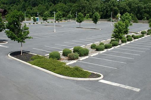 A Parking Lot for Vehicles with all the lines, shrubs, trees and lights.