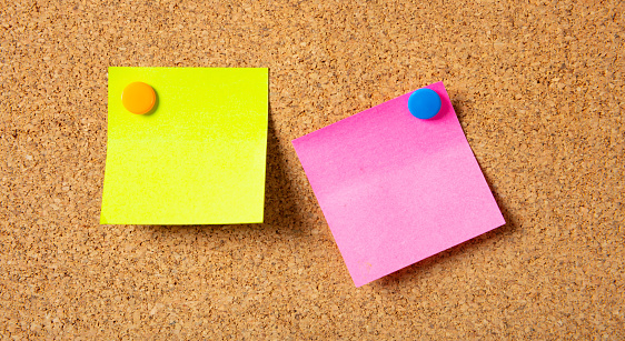 School concept. Two colorful sticky notes with pushpins and blank space, isolated on cork background,