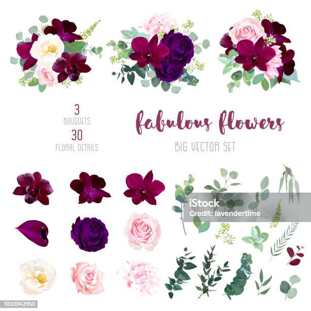 Vetores de Coleção De Roxo Jardim Rosa Cor De Vinho Vermelho Orquídea Grande Vetor e mais imagens de Flor