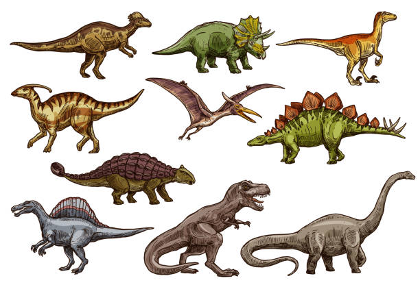 Dinosaur and prehistoric reptile animal sketches Dinosaur animal icons of prehistoric reptile monsters. Dino sketches of triceratops, tyrannosaurus rex and stegosaurus, brontosaurus, spinosaurus and velociraptor, pteranodon and ankylosaurus spinosaurus stock illustrations