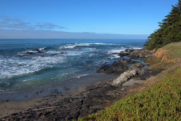 istock Dirty shore near waving sea 1033066084