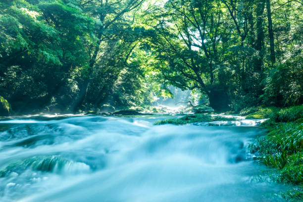 istock Kikuchi Valley, Kumamoto Japan. 1033066456