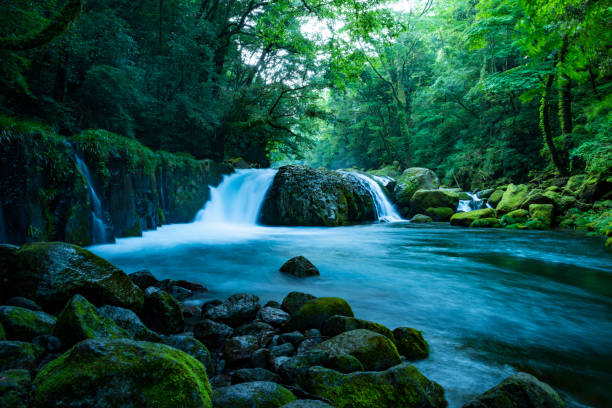istock Kikuchi Valley, Kumamoto Japan. 1033068542
