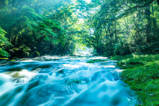 istock Kikuchi Valley, Kumamoto Japan. 1033068586