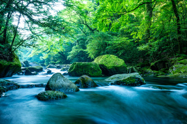 istock Kikuchi Valley, Kumamoto Japan. 1033068756